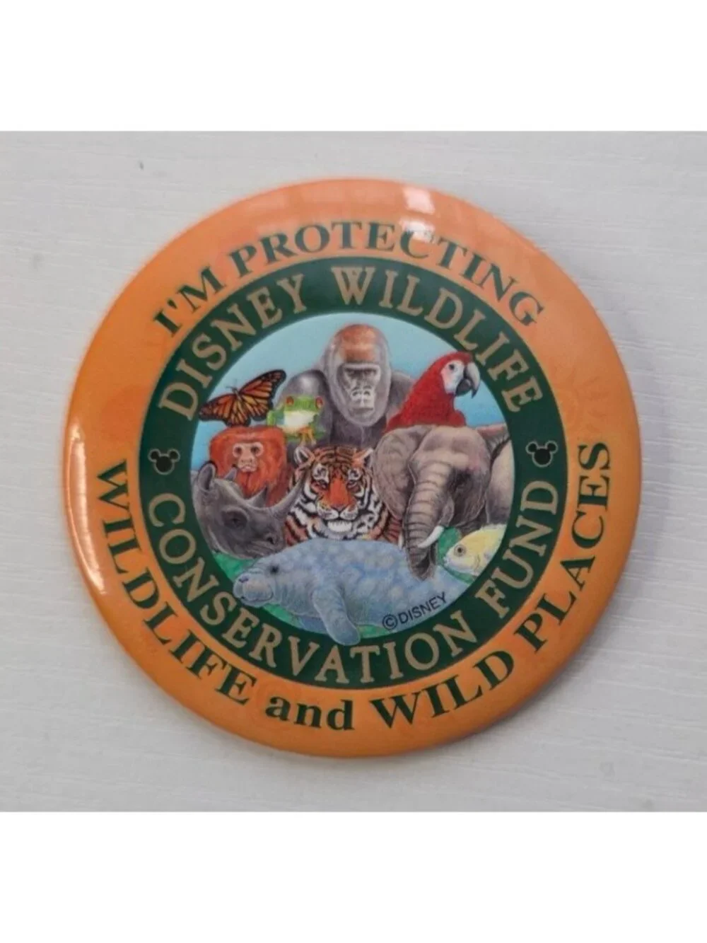 Disney Wildlife Conservation Fund 